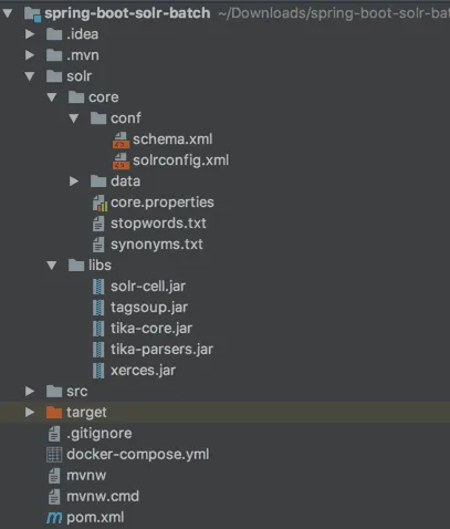 Project structure of a Solr Docker project